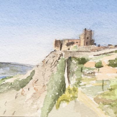 Vallée du Douro - Dominique Cappelle (22cm X 11cm)