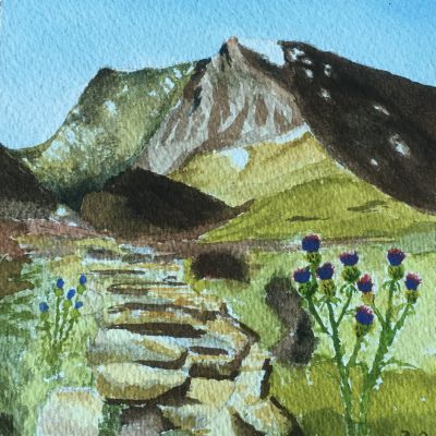 le Ben Nevis - Dominique Cappelle ()