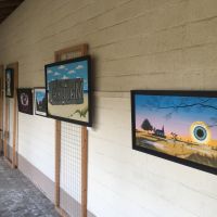 Parcours d'artistes de Braine-l'Alleud - 3ème édition - Dominique Cappelle