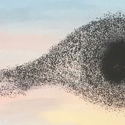 Murmuration - Dominique Cappelle (65 cm x 50 cm)