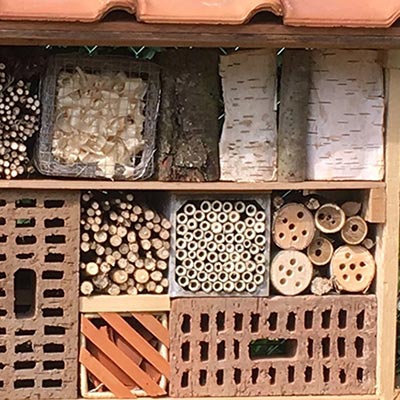 Hôtel à insectes - Dominique Cappelle ()